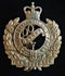 DORSET REGIMENT (QEII) CAP BADGE