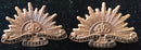 Australian Instructional Corps Bronze pair of collars